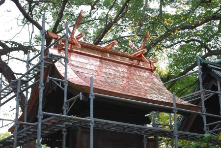 神社の境内は別世界です。