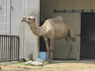 基礎・土留め擁壁コンクリート:3月11日
