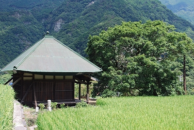 ご先祖さん