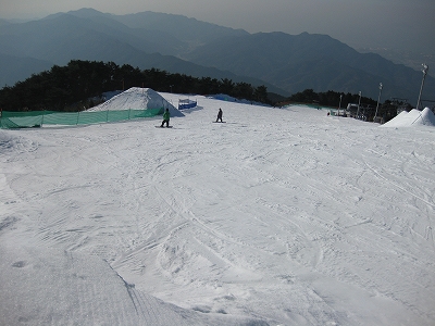 雲辺寺スキー場：今年は標高低い山でも雪が降りました。
