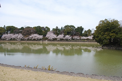 sshpdsc_0005