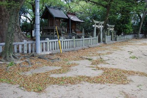 神社の鳩くん達は。。。