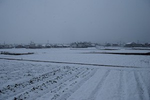 癒される風景