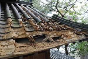 一宮神社さんの楼門