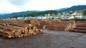 木材卸売り市場