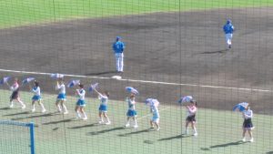 プロ野球観戦