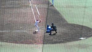 プロ野球観戦