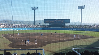 プロ野球観戦