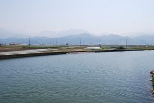 長閑な農村