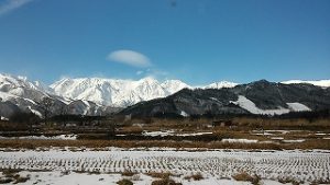 ＨＡＫＵＢＡ４７ 