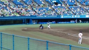 プロ野球観戦（ヤクルト×中日戦）