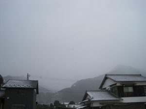 夕べから積雪