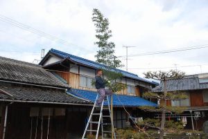 敷地内へ注連縄張り