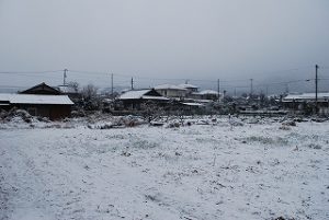 雪で真っ白な風景