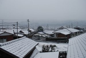 雪で真っ白な風景