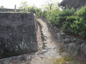 新築平屋建て