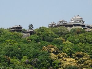 娘の引っ越し：ロープウェイ街通り