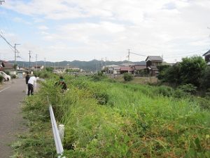 渦井川の清掃