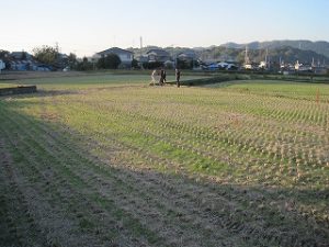 新築住宅の造成工事