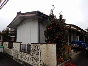 建て替え建屋解体