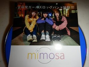 mimosa:ミモザ