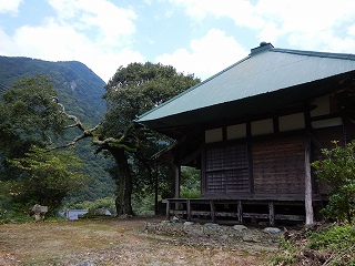 派手さはないのですが・・見てると・おっとりしてきます。