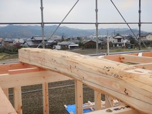 平屋建て新築住宅：片流金属板屋根