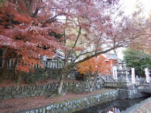 着工前の地鎮祭には着工祈願を行っていただきました。