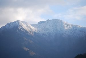 例年通りの黒森山