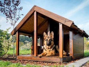 犬小屋造り