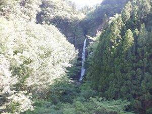 大瀧の滝