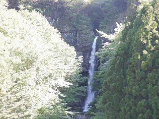 梅雨の中やすみ（休み）