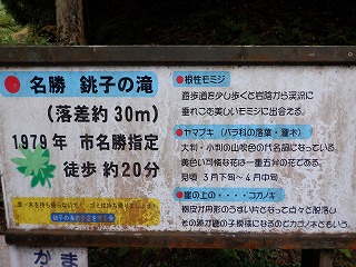 大野山には市名勝指定「銚子の滝」があります。
