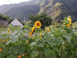 お盆前に嫁さんと