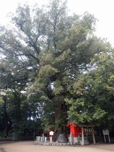 一宮神社さんへ参拝