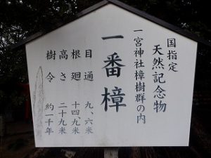 一宮神社さんへ参拝