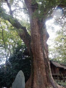 一宮神社さんへ参拝