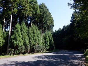 バイクで林道ツーリング