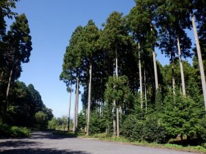 バイクで林道ツーリング