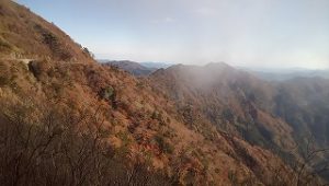 ＵＦＯライン