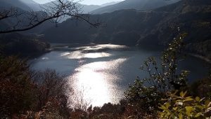 初詣・森岡神社さん