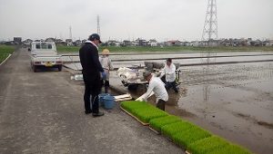 田植え