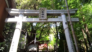 龍の神様が降りて来たみたいな！