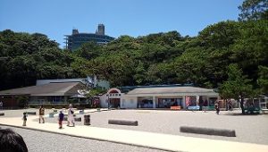 桂浜