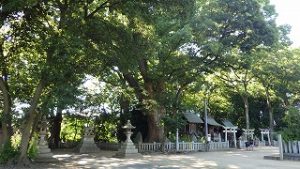 一宮神社さん