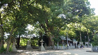 一宮神社さんで涼をとる！