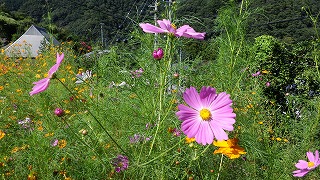 お彼岸 山は少し涼しく感じます