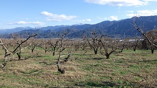 田舎の景色