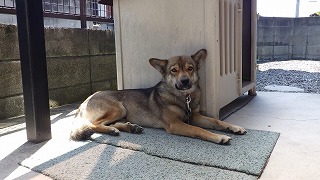 ちょっと慣れて貰えたのかな！？