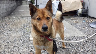 「まる」さんと仲良しです！